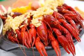 Tận mục tôm hùm đất phá mùa màng hơn ốc bươu vàng