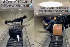 Nhân viên sân bay xếp vali lên khoang chứa như chơi xếp hình