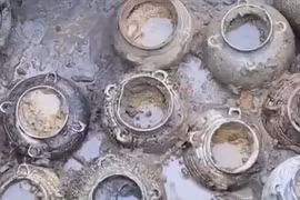 Hộp cá ướp muối vẫn 'ngon mắt' trong mộ cổ ngàn năm