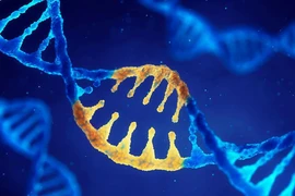 Kinh ngạc về sự trùng khớp giữa gene người và động vật