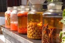 Hai người đàn ông tử vong vì uống rượu thuốc tự ngâm