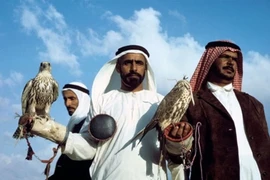 Loài chim duy nhất được cấp hộ chiếu riêng, ngồi khoang thương gia