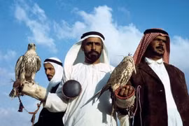 Loài chim duy nhất được cấp hộ chiếu riêng, ngồi khoang thương gia