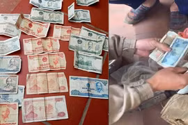 Phá bỏ nhà cũ bất ngờ phát hiện bao tải tiền bỏ quên nhiều năm
