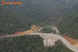 Công ty Công trình 156 Hà Nội đổ đất đá đè chết cây