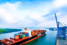 Không có doanh thu, Cảng Phước An ghi lỗ thêm 4,6 tỷ đồng 