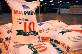 Mỗi tuần một doanh nghiệp: Dòng tiền kinh doanh tốt, DPM trả cổ tức hậu hĩnh?
