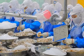 Thực phẩm Sao Ta có thể lãi 300 tỷ đồng năm 2023