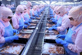 Thuỷ sản Minh Phú báo lãi ròng hợp nhất 9 tháng tăng 23% nhờ đâu?