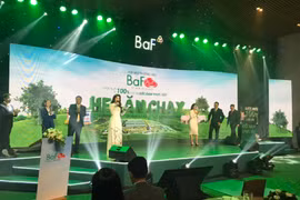 Thị trường đang ‘căng’, sức khỏe của BAF như nào vẫn muốn phát hành trái phiếu?