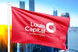 Louis Capital nói gì về việc thổi giá AGM, SMT, BII, TGG?