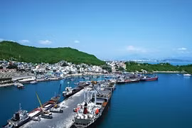 Cảng Cam Ranh ghi nhận 24 tỷ đồng lợi nhuận cả năm 2020