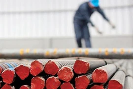 Thép Tiến Lên: Lãi quý 3 lao dốc, trích lập dự phòng hàng chục tỷ vì mua cổ phiếu SHB, VIX và IJC