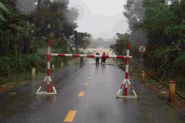 Bình Định: Năng lực nhà thầu trúng gói xây dựng cầu vượt lũ hơn 100 tỷ