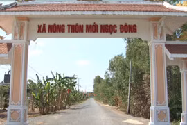 Sóc Trăng: Năng lực nhà thầu thi công đường bê tông Cây Tràm