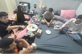 TP HCM: Triệt phá đường dây ma túy xuyên biên giới, thu giữ số lượng khủng