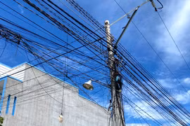 Đường dây điện xã Phong Nẫm còn mất an toàn đến bao giờ?