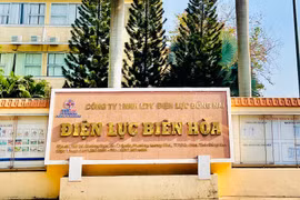 Cty Xây lắp Điện trúng gói nâng cấp đường dây trung thế của Điện lực Biên Hòa