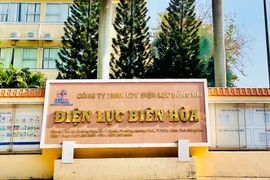 Cty Xây lắp Điện trúng gói nâng cấp đường dây trung thế của Điện lực Biên Hòa