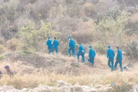 Lãnh đạo huyện Tuy Phong thông tin vụ cháy tại Núi Tàu, Bình Thuận