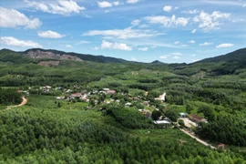 Ảnh: Cổng thông tin điện tử Bình Định