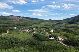 Ảnh: Cổng thông tin điện tử Bình Định