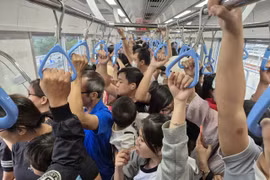 Các địa điểm tại trung tâm TPHCM thu hút đông đảo người dân đón Xuân