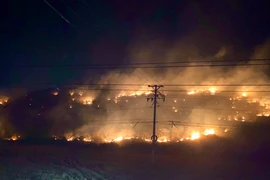 Cháy lớn trên đồi bằng lăng gần núi Tàu ở Bình Thuận