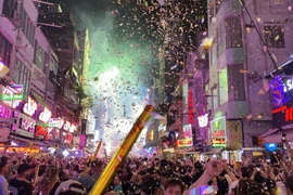 Pháo hoa rực sáng, phố Tây Bùi Viện ngập trong không khí chào năm mới 2025