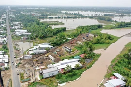 Nguồn: Báo Đấu thầu