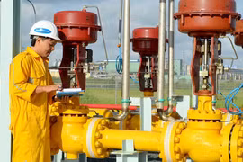 PV Gas City: Lỗ kỷ lục, vi phạm liên tiếp nên cổ phiếu vào diện bị kiểm soát