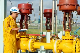 PV Gas City: Lỗ kỷ lục, vi phạm liên tiếp nên cổ phiếu vào diện bị kiểm soát