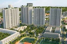 HTL Việt Nam: Lợi nhuận tăng gấp 22 lần, dư nợ trái phiếu ở mức 233 tỷ