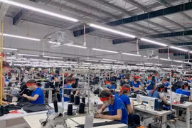 Dệt may TNG: Tăng trưởng 5 năm liên tiếp, doanh thu vượt 7.000 tỷ đồng