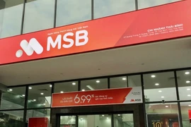 MSB: Tăng trưởng chậm trong 2 năm tới nhưng hứa hẹn tiềm năng dài hạn