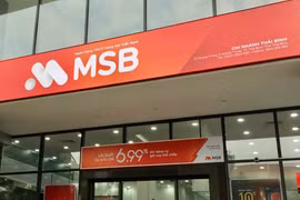 MSB: Tăng trưởng chậm trong 2 năm tới nhưng hứa hẹn tiềm năng dài hạn