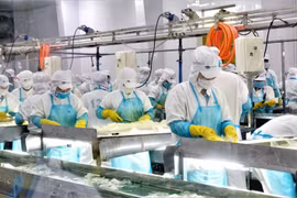 Doanh thu quý 1 của GC Food đạt 119 tỷ nhờ nha đam và thạch dừa