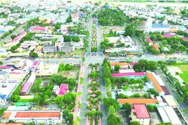 “Sắc xuân” trên Đồng Tháp Mười