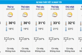 TPHCM bất ngờ đón Tết trong không khí lạnh 20 độ