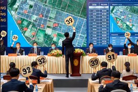 Đồng Tháp đấu giá 9 thửa đất tại huyện Hồng Ngự, giá khởi điểm 650 triệu đồng/lô