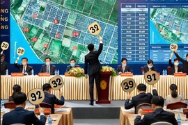 Đồng Tháp đấu giá 9 thửa đất tại huyện Hồng Ngự, giá khởi điểm 650 triệu đồng/lô