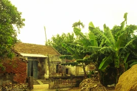 Chữa bệnh cho con, cô giáo vay 2 triệu nhưng phải trả tới 90 triệu