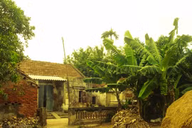 Chữa bệnh cho con, cô giáo vay 2 triệu nhưng phải trả tới 90 triệu