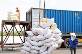 Tạm đình chỉ công tác 7 cục trưởng liên quan đến dự trữ gạo quốc gia