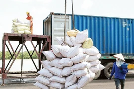 Tạm đình chỉ công tác 7 cục trưởng liên quan đến dự trữ gạo quốc gia