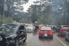 Măng Đen kẹt cứng ngày mùng 4 Tết dù thời tiết mưa lạnh