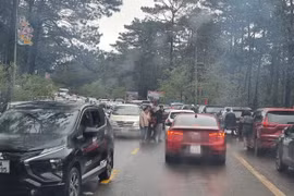 Măng Đen kẹt cứng ngày mùng 4 Tết dù thời tiết mưa lạnh