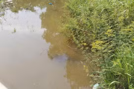 Phát hiện thi thể đàn ông ở trần dưới suối Cầu Giấy