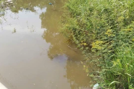 Phát hiện thi thể đàn ông ở trần dưới suối Cầu Giấy