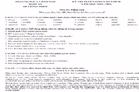 Đề thi vào lớp 10 môn Anh toàn tỉnh Nghệ An ngày 9/6